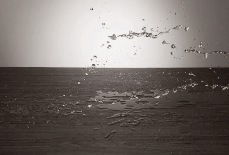 Warranties and What They Include: Understanding Flooring Guarantees and Coverage Terms