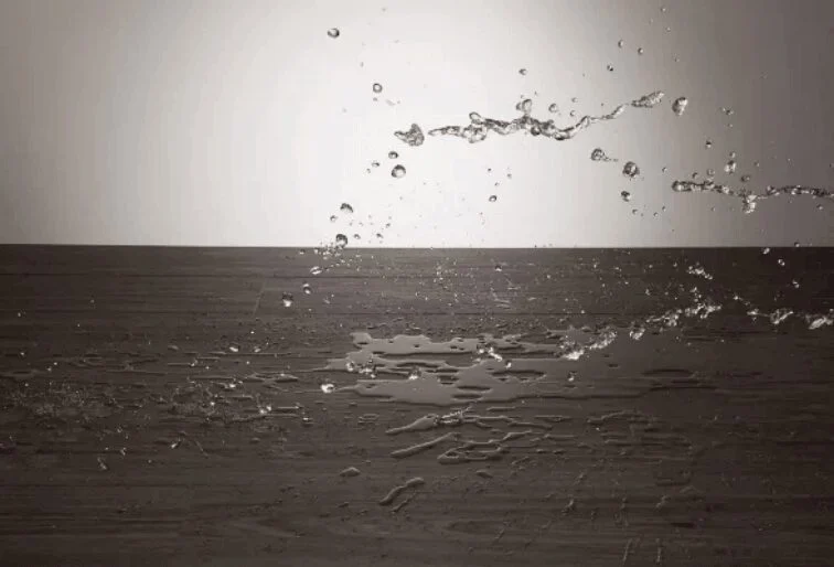 Warranties and What They Include: Understanding Flooring Guarantees and Coverage Terms